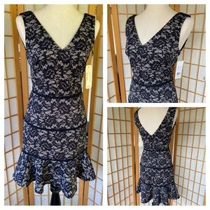 Nicole Miller Artelier Black Lace Fitted Flare Stretch Dress SZ 6 NWT